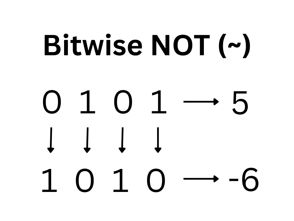 Bitwise NOT operator in Java